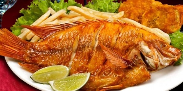 La Mojarra Frita: El corazón de la gastronomía costera se reinventa como pilar del turismo en 2026