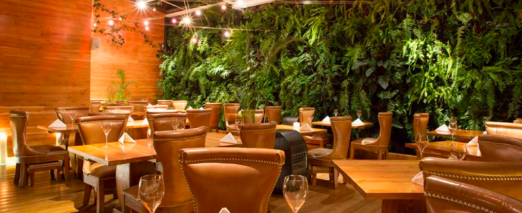 Elcielo anuncia su "World Tour 2026": Una odisea sensorial por los cinco sentidos