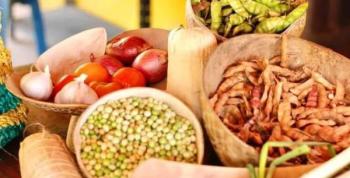 Sibarco se viste de gala: El Festival del Guandú y el Bollo de Yuca resalta el ADN gastronómico del Atlántico