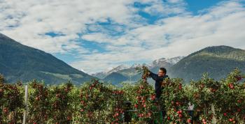 Una visita por el Valle Venosta, el Paraíso de las Manzanas