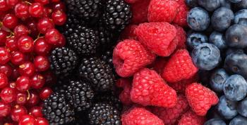 El campo colombiano florece en marzo: La temporada de frutos rojos llega a su punto máximo de calidad