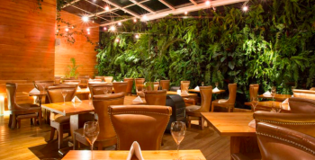 Elcielo anuncia su "World Tour 2026": Una odisea sensorial por los cinco sentidos