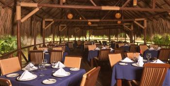 El restaurante ‘Arrecifes’ redefine la cocina de origen: Una explosión de sabores del Caribe en la mesa